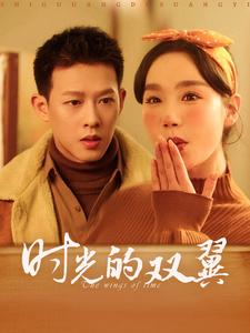 时光的双翼（94集）短剧解说全集