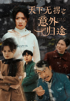 天下无拐之意外归途（61集） 我全都看完了
