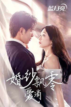 婚纱飘零爱消弭（38集） 免费看