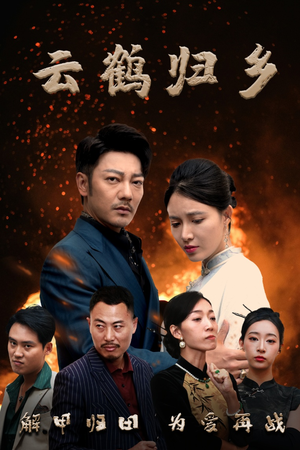 云鹤归乡（65集） 短剧每日分享
