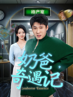 奶爸奇遇记（60集） 一口气看完全集
