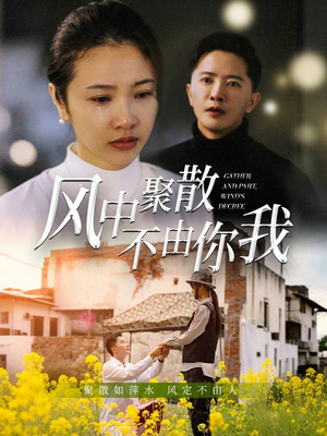风中聚散不由你我（41集） 热门短剧免费看