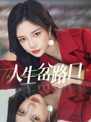 人生岔路口（30集）免费观看