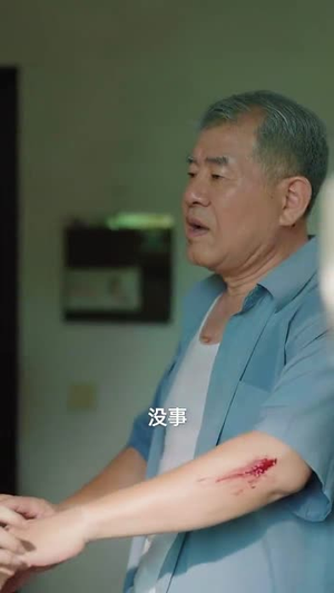 清明出游之我的爱国爷爷（35集）全集免费观看