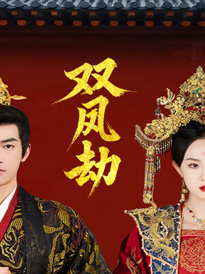 双凤劫＆将军骨美人谋（91集）常回家看看短剧
