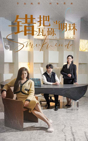 错把瓦砾当明珠&曦光映峥途（55集） 第一季