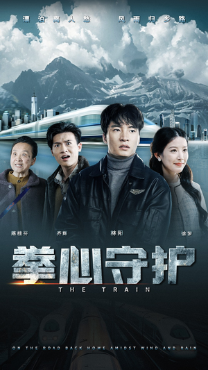 拳心守护（28集） 短剧全集免费