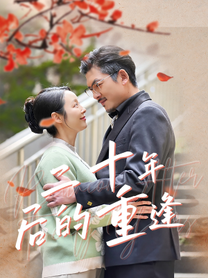 二十年后的重逢（70集）全集一次看完