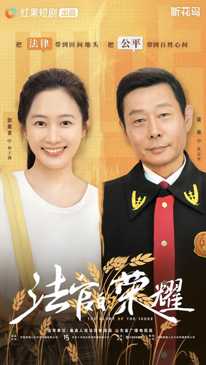 法官的荣耀（5集全）免费在线看全集