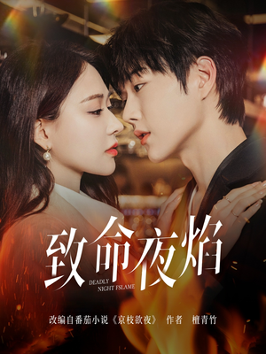 致命夜焰（80集） 在线观看全集