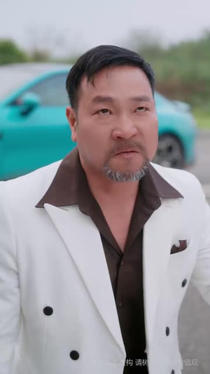 宝刀未老之再来一次（80集） 短剧免费看