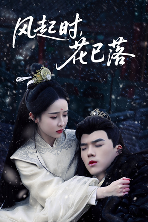 风起时，花已落（49集） 小短剧抢先看