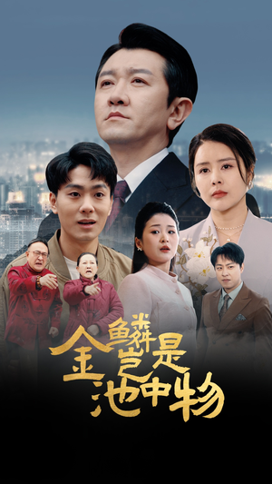 金鳞岂是池中物（61集）短剧也太好看了