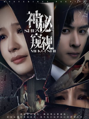 神秘窥视（60集）演员表
