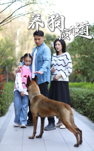 养狗应有道（60集）短剧小说在线看
