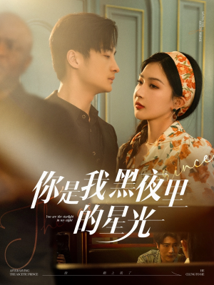 你是我黑夜里的星光（80集）热门短剧大全
