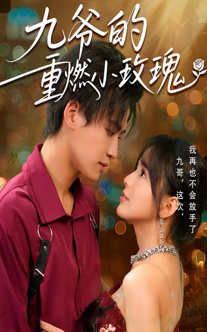 九爷的重燃小玫瑰（67集）短剧全集免费看