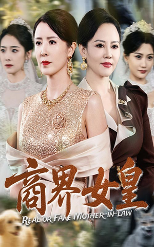 商界女皇（70集）看到了大结局