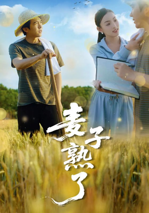 麦子熟了（52集）不用花钱看全剧