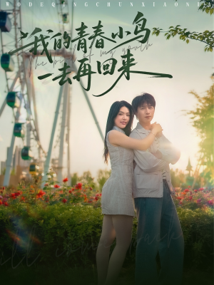 我的青春小鸟一去再回来（95集）直接追到结尾