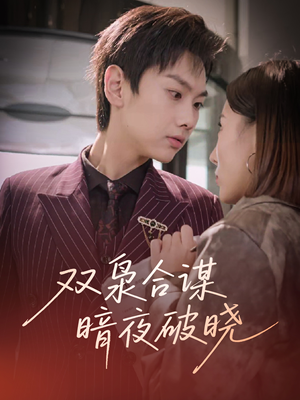 双枭合谋暗夜破晓（30集）夸克网盘观看