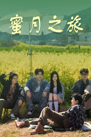 蜜月之旅（35集）一个短剧看全集