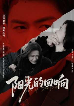 阳光的回响（50集）最火短剧热播中