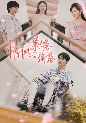 情似繁花渐落（62集）最热门短剧来了