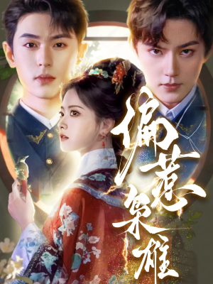偏惹枭雄（82集）短剧小说在线看