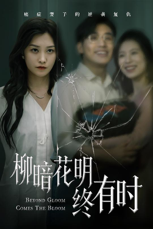 柳暗花明终有时（50集）观看软件