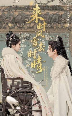 来时风雪去时晴（51集）更新时间