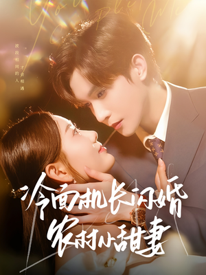 冷面机长闪婚农村小甜妻（73集）超火热门短剧