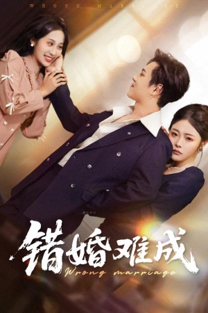 错婚难成（45集）女主角是谁
